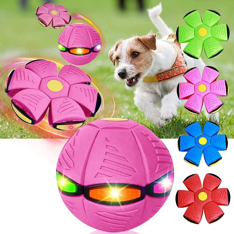 Magic Deformation UFO Dog Toy: Original Frisbee for Outdoor Training