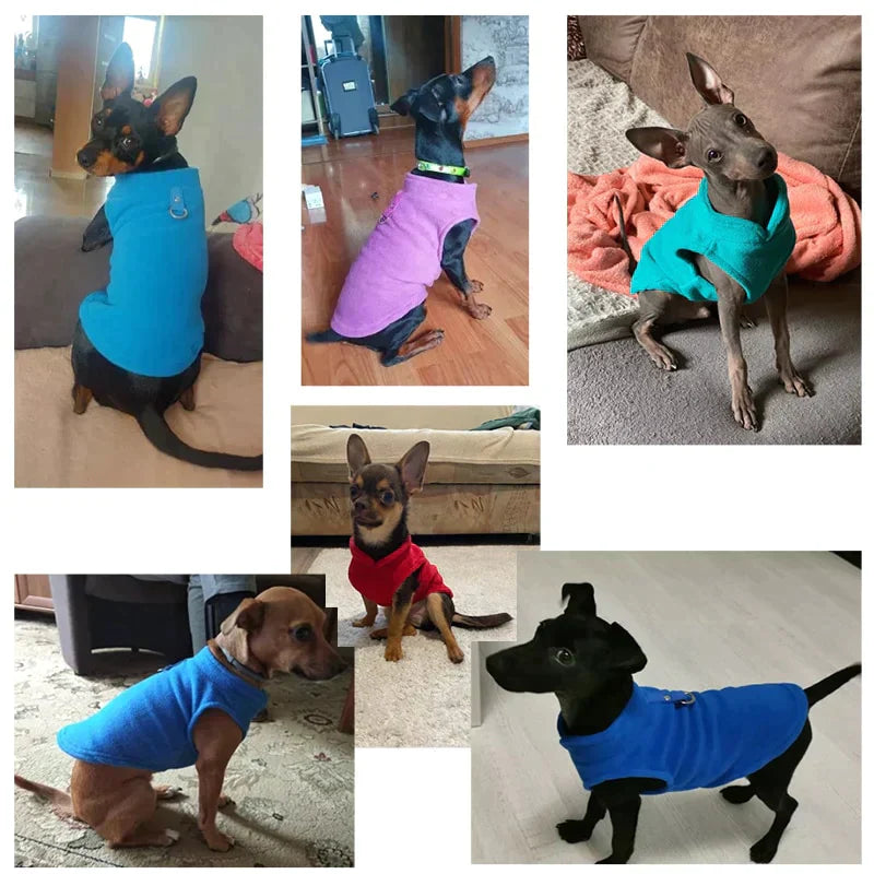 Dogs' clothing